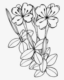Flower, Plant, Wild, Wildflower - Fireweed Clipart, HD Png Download, Free Download