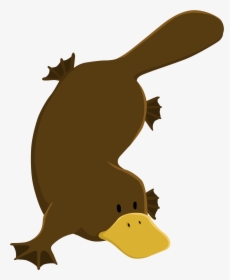 Cartoon - Cartoon Platypus Png, Transparent Png, Free Download