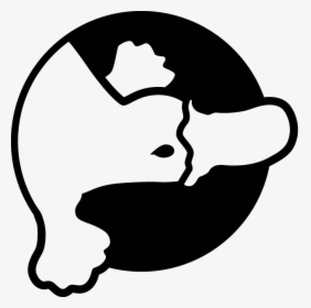 Platypus Png White, Transparent Png, Free Download