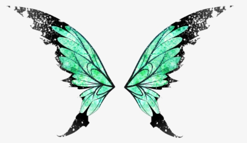 Butterfly Butterflywings Wings Angel Angelwings Fairy Wings No Background Hd Png Download Kindpng - fairy wings roblox