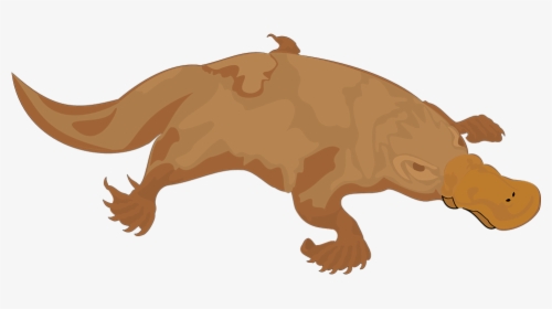 Platypus, Brown, Bill, Animal, Tail - Duck Billed Platypus Silhouette, HD Png Download, Free Download