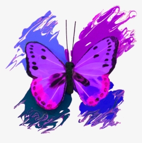 Brush-footed Butterfly, HD Png Download, Free Download