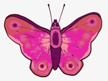 Vector Illustration Of Pink And Purple Butterfly - Butterfly Vector Mariposas Rosa Borboleta Butterfly, HD Png Download, Free Download