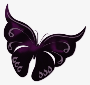 Transparent Background Butterfly Png Clipart , Png, Png Download, Free Download