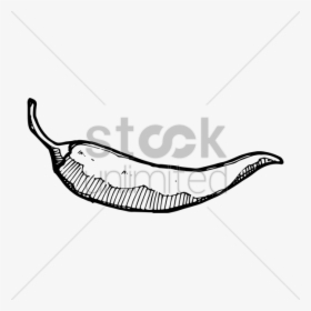 Hot Pepper Drawing At Getdrawings Com Free - Illustration, HD Png Download, Free Download