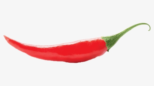 Chili Pepper Cayenne Pepper Serrano Pepper Bird"s Eye - Cranberry Juice, HD Png Download, Free Download