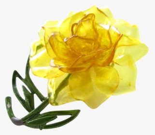 Transparent Rose Clipart - Garden Roses, HD Png Download, Free Download