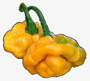 Hot Pepper Png, Transparent Png, Free Download