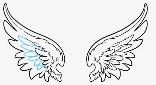 Drawing Feather Artistic Angel Wings Png Vector Transparent Png
