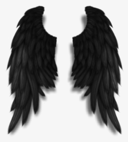 Darkangel Angelwings Angels Angel Wings Feathers Fly - Buy Black Angel Wings, HD Png Download, Free Download