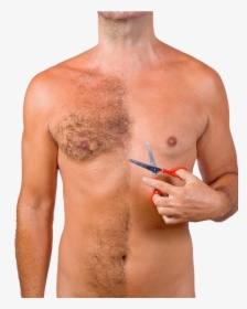Body Hair Transplant In India - Hairs On Abdominal And Chest Regions, HD Png Download, Free Download