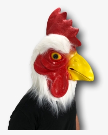 Rooster, HD Png Download, Free Download