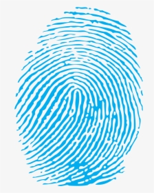 Fingerprint Png - Blue Fingerprint Png, Transparent Png, Free Download