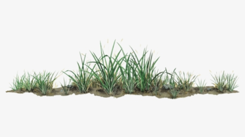 Grass Wall Decal Sticker, HD Png Download, Free Download