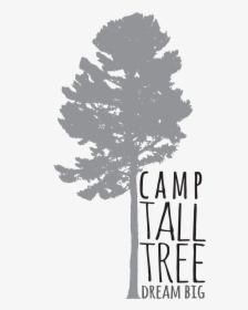 Camp Tall Tree Logo, HD Png Download, Free Download