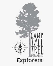 Tall Tree Png, Transparent Png, Free Download