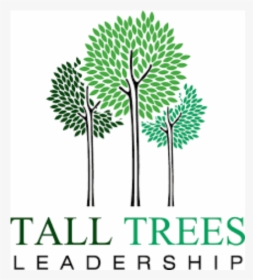 Talltrees - Illustration, HD Png Download, Free Download