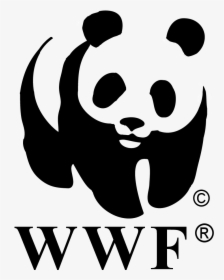 World Wildlife Foundation Logo, HD Png Download, Free Download