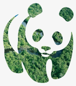 World Wildlife Fund Philippines Logo, HD Png Download, Free Download