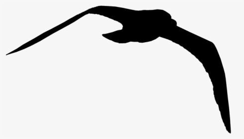 Silhouette, Bird, Seagull, Flying, Nature, Animal - Silueta De Gaviotas Png, Transparent Png, Free Download