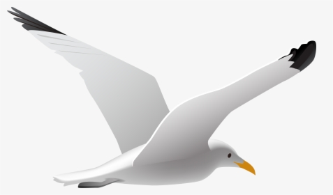 Gulls Bird Clip Art - Seagull Clip Art, HD Png Download, Free Download