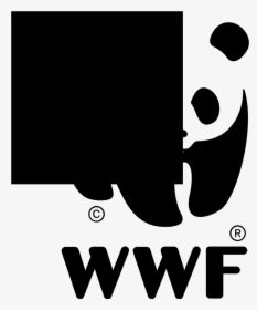 Wwf Logo, HD Png Download, Free Download