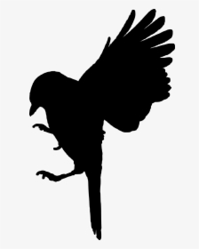 Transparent Seagull Silhouette Png - Black Bird Cut Out, Png Download, Free Download