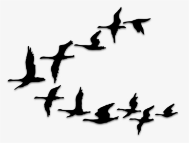 Cartoon Flying Birds Png, Transparent Png, Free Download