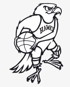 Drawing Hawks, HD Png Download, Free Download