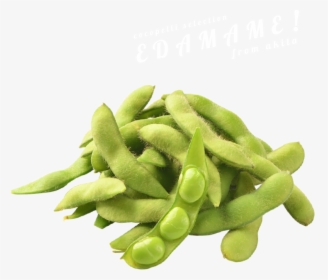 Beans Vector Edamame - Edamame Png, Transparent Png, Free Download