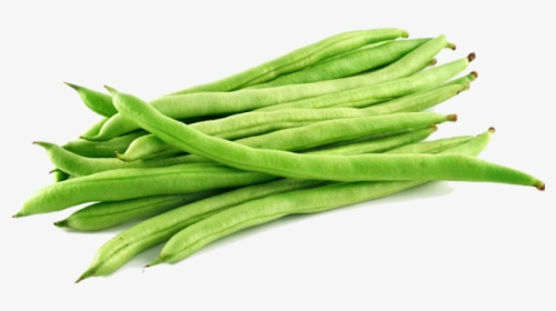 French Beans Png, Transparent Png, Free Download