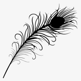 Png Format Peacock Feather Png, Transparent Png, Free Download