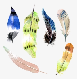 Transparent Peacock Wings Png, Png Download, Free Download