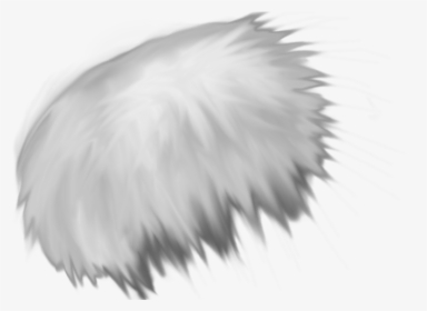 Clip Art Feather Texture - Fur Texture Transparent Background, HD Png Download, Free Download