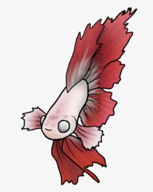 Clipart Transparent Download Betta Drawing Feather - Illustration, HD Png Download, Free Download