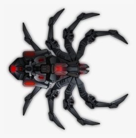 Black Widow Tarantula Spider, HD Png Download, Free Download