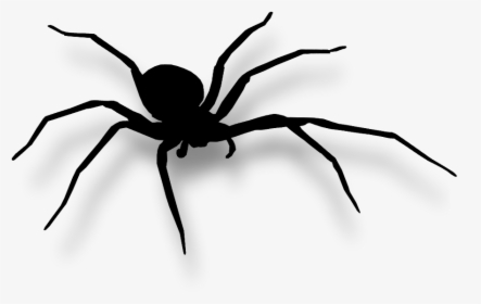 Araignée Png, Transparent Png, Free Download