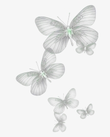 Ftestickers Butterflies Glow Green - Transparent White Butterfly Png, Png Download, Free Download