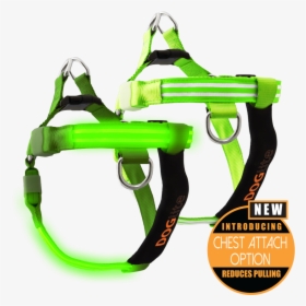 Double Trouble Led Dog Harness - Pet Harness, HD Png Download, Free Download