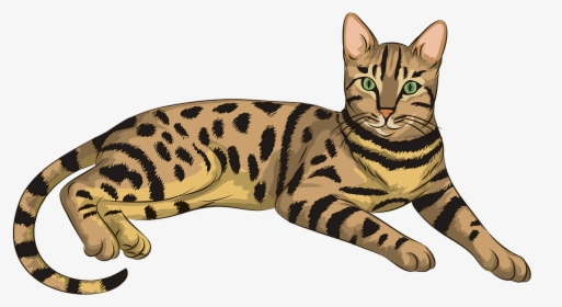 Cat Clip Art Tabby - Cat Clipart, HD Png Download, Free Download