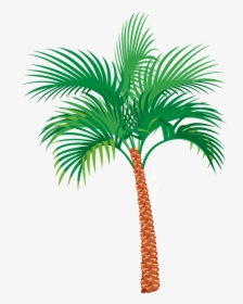 Palm Tree Exotic Vacation Free Picture - Palm Tree Gif Png, Transparent Png, Free Download