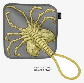 Facehugger, HD Png Download, Free Download