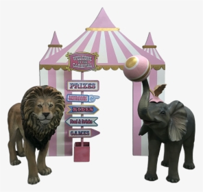 Pink Circus/carnival Package - Masai Lion, HD Png Download, Free Download