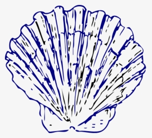 Sea Shell 2 Svg Clip Arts - Blue Seashells Transparent Background, HD Png Download, Free Download