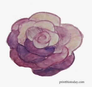 Free Handmade Watercolor Rose Clipart - Floribunda, HD Png Download, Free Download