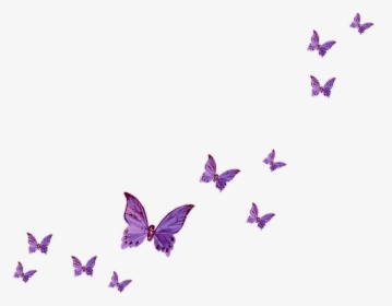Flies Clipart Purple - Flying Butterflies Transparent Background, HD Png Download, Free Download