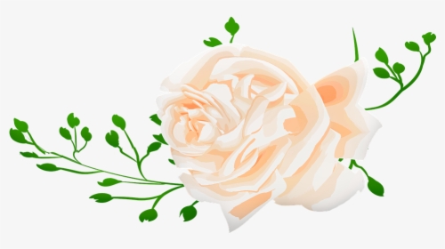 Watercolor Rose, Roses, Pink, Stem, Buds, Nature - Floribunda, HD Png Download, Free Download