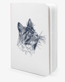 Transparent Cat Eye Png - Sketch, Png Download, Free Download