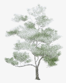 Tree Photoshop, Arbre Png, Drawing Trees, Watercolor - Watercolor Photoshop Trees Png, Transparent Png, Free Download