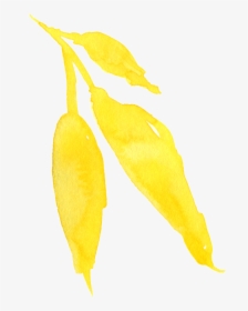 This Graphics Is Watercolor Yellow Flower Transparent - Hop Hornbeam, HD Png Download, Free Download